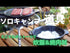 耐熱陶器 ミニマルポット|パンダ食堂